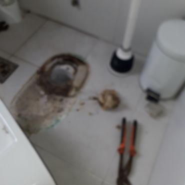 Destapacion de tapa cloacal en Ramos Mejia